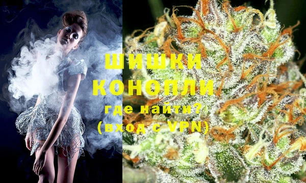 хмурый Каменногорск