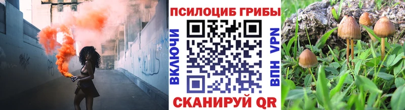 Купить закладки  Облучье  Галлюциногенные грибы Psilocybe 